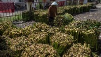 Warga mengaku penjualan batang eceng gondok dengan pemasaran ke wilayah Jateng, DI Yogyakarta, dan Jawa Barat mengalami kenaikan harga dari Rp11.500 menjadi Rp15.000 per ikat (50 kilogram) untuk eceng gondok basah dan Rp6 ribu menjadi Rp9 ribu per kilogram untuk eceng gondok.