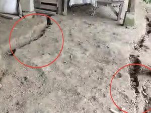 Warga Suppirang Pinrang Minta Direlokasi gegara Tanahnya Kerap Longsor-Retak