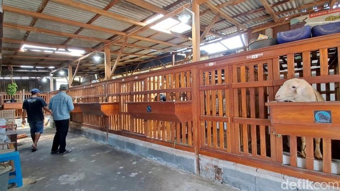 Menengok Salon Kambing di Jombang