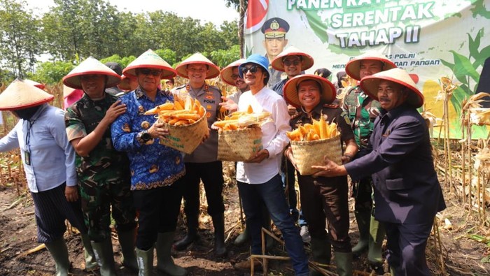 Isa Bajay bersama Forkopimda Magetan panen jagung di kawasan lahan perhutani