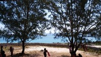 Pemandangan Pantai Mandorak dari sela pohon di bukit batunya. Air yang biru dan tenang bisa jadi pilihan tepat buat detikers yang butuh healing. (Titry Frilyani/dTraveler)