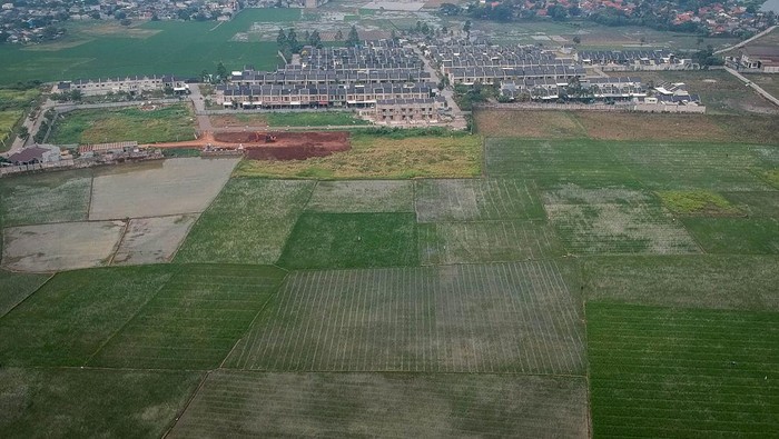 Foto udara kompleks perumahan di antara area persawahan di Sepatan, Kabupaten Tangerang, Banten, Rabu (21/5/2025). Menteri Koordinator Pangan Zulkifli Hasan mengatakan pemerintah akan menambah luas lahan sawah dilindungi dari delapan menjadi 20 provinsi atau sebelumnya total luas lahan 3.836.944 hektare ditambah 2.751.651 hektare untuk mengatasi alih fungsi lahan dan menjaga ketahanan pangan nasional melalui revisi Perpres Nomor 59 tahun 2019 terkait alih fungsi lahan sawah. ANTARA FOTO/Putra M. Akbar