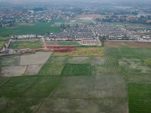 Janji Pemerintah Moratorium Alih Fungsi Lahan Sawah