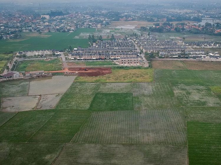 Pemerintah Tambah Luas Lahan Sawah Dilindungi untuk Cegah Alih Fungsi