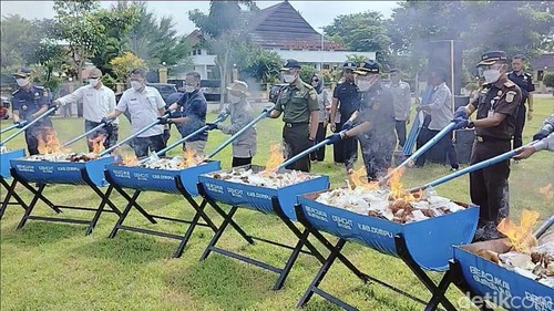Proses pemusnahan barang kena cukai di lapangan Beringin Kantor Bupati Dompu, Rabu (21/5/2025). (Faruk)