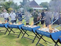 Bea Cukai Musnahkan Rokok-Tembakau Ilegal di Dompu, Negara Rugi Rp 644 Juta
