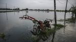 Ratusan Hektare Lahan Pertanian di Demak Terendam Banjir