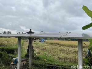 PLTS Atap Permudah Irigasi Subak di Desa Keliki Gianyar