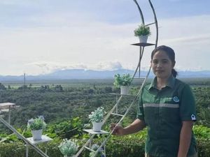 Jejak Langkah Warga Suku Bunggu Pasangkayu Bangkitkan Ekonomi Keluarga