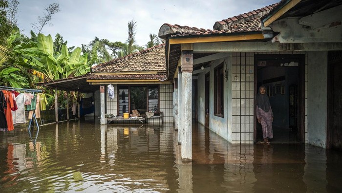 Tanggul Jebol, Desa-desa di Demak Kebanjiran Seorang warga berada di rumahnya saat banjir di Dusun Gayang, Desa Karangrejo, Bonang, Kabupaten Demak, Jawa Tengah, Rabu (21/5/2025). Berdasarkan data BPBD Jawa Tengah, sebanyak 11.662 jiwa dari 2.903 kepala keluarga (KK) terdampak banjir dengan 153 unit rumah tergenang serta 18 fasilitas umum, 13 fasilitas pendidikan dan tiga fasilitas kesehatan turut terdampak banjir yang terjadi akibat jebolnya tanggul Sungai Tuntang di dua titik yakni sepanjang 13 meter di Desa Karangrejo dan 4 meter di Desa Kembangan. ANTARA FOTO/Aprillio Akbar/Spt.