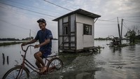 Banjir tersebut terjadi akibat jebolnya tanggul Sungai Tuntang di dua titik yakni sepanjang 13 meter di Desa Karangrejo dan 4 meter di Desa Kembangan. 