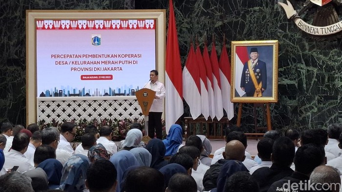Wakil Menteri Desa dan Pembangunan Daerah Tertinggal Ahmad Riza Patria. (Brigitta/detikcom)