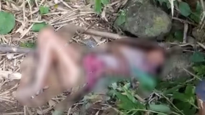 Wanita lanisa ditemukan kritis dengan kepala terhimpit batu di hutan Lubuklinggau
