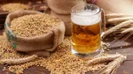 10 Makanan Tertua di Dunia Ribuan Tahun Lalu, Kini Masih Populer