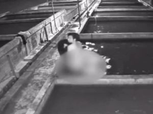 Terekam CCTV, Maling Lele Beraksi Tanpa Busana di Lumajang