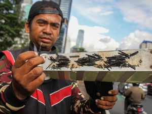 Kagetnya Relawan Saber Ranjau Paku Dikejar Pria di Jaktim Bawa Bambu