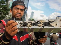 Kagetnya Relawan Saber Ranjau Paku Dikejar Pria di Jaktim Bawa Bambu