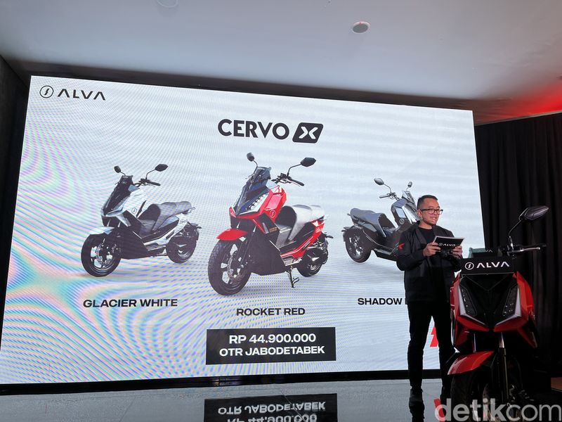 Alva Cervo X