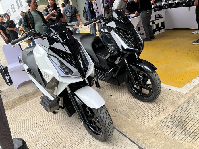 Alva Cervo X Alva Cervo X