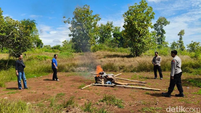 Anggota Polsek Sokobanah Daya membakar barang-barang yang ditemukan di lokasi sabung ayam di Sampang.