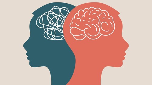 Metaphor bipolar disorder mind mental