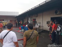 Gudang Oz Britts di Kuta Terbakar, Ratusan Kuintal Daging Hangus