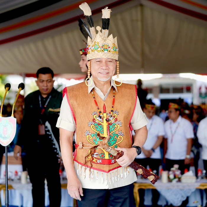 Gelar yang didapat yakni 'Mantir Hai Panambahan, Antang Habarun Sangkalemu, Batutuk Bulau Basilu Batu. Rangkang Duhung Pasihai, Tetes Rantai Kamara Ambu, Ngajang Lewu Mandereh Danum'. Arti dari gelar kehormatan adat Dayak yang diterima Ketua Umum PAN tersebut ialah yang berarti orang yang arif bijaksana, mampu untuk menjaga ketahanan pangan, untuk kemakmuran dan kesejahteraan seluruh rakyat.