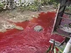 Saat Sungai di Cirebon Berubah Warna Jadi Merah Darah, Kok Bisa?