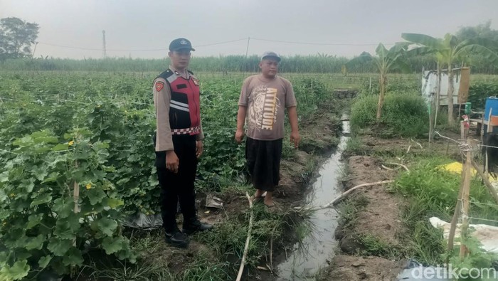 Polisi sambangi ladang melon di Sidoarjo