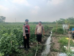Dari Ladang Melon, Petani dan Polisi Sidoarjo Wujudkan Asta Cita Prabowo