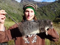 Dunia Sains Sorot Penemuan Tikus Raksasa di Papua, Sebelumnya Hanya Ada di Museum