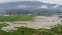 Foto udara lahan pertanian yang terendam banjir di Kecamatan Panumbangan, Kabupaten Ciamis, Jawa Barat, Kamis (22/5/2025).
