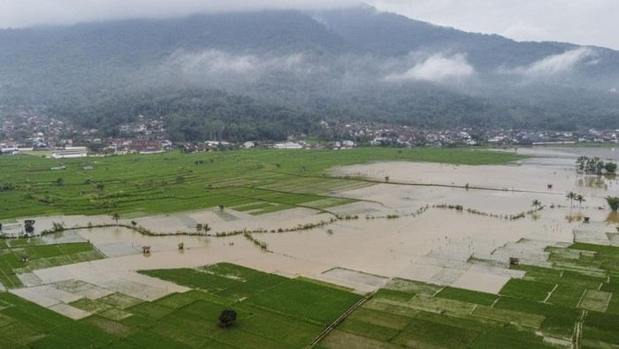 Foto udara lahan pertanian yang terendam banjir di Kecamatan Panumbangan, Kabupaten Ciamis, Jawa Barat, Kamis (22/5/2025). BPBD Ciamis mencatat lahan pertanian yang terendam banjir luapan Sungai Citanduy seluas 95 hektare. ANTARA FOTO/Adeng Bustomi/Spt.