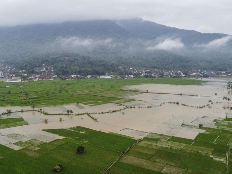 Banjir Rendam 95 Hektare Sawah di Ciamis