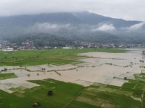 Banjir Rendam 95 Hektare Sawah di Ciamis