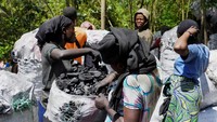 Jika eksploitasi ini terus berlanjut, para aktivis lingkungan memperingatkan bahwa Taman Nasional Kahuzi-Biega bisa kehilangan statusnya sebagai Situs Warisan Dunia UNESCO dan mengakibatkan kepunahan gorila Grauer. Diperkirakan sekitar 3.000 karung arang masuk ke Bukavu atau menuju Goma setiap hari, menandakan skala kerusakan yang mengkhawatirkan.     