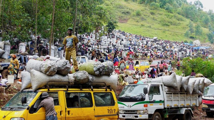 Begini Ramainya Pasar Arang di Kongo, Ancam Habitat Gorila Langka Vendors trade at the charcoal market in Murhesa, as improved access to markets drives up supply, raising alarm over environmental degradation and the growing threat to Kahuzi-Biega National Park, a UNESCO World Heritage site home to endangered Grauer’s gorillas, in the Bukavu, South Kivu Province in the Democratic Republic of Congo, May 16, 2025. REUTERS/Victoire Mukenge TPX IMAGES OF THE DAY