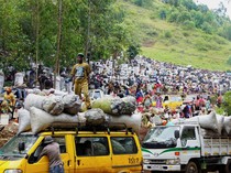 Begini Ramainya Pasar Arang di Kongo, Ancam Habitat Gorila Langka