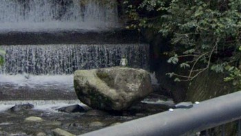 Koordinat: 33.4939667° LU, 130.1034649° BT (Itoshima, Fukuoka) Sosok misterius muncul di air terjun di Jepang. Apakah itu manusia? Kura-kura? Atau sesuatu yang lain? Apa pun itu, anehnya hal itu meresahkan. Foto: Boredpanda