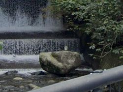 15 Hal Aneh di Google Maps & Earth yang Bikin Geleng-geleng