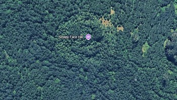 Koordinat: 45°0229″N 123°3115″W (Fort Hill, Oregon) Wajah lereng bukit ceria yang diukir oleh pepohonan di Oregon ini mungkin membuat Anda tersenyum atau bertanya-tanya apakah alam sedang tersenyum kembali kepada Anda. Foto: Boredpanda