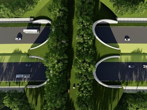 Hewan-hewan yang Akan Melintas di Atas Jembatan Satwa IKN