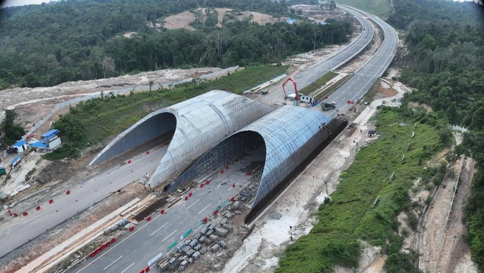 PT Waskita Karya (Persero) Tbk membangun Jembatan Satwa di sekitar Tol IKN Seksi 3B Segmen KKT Kariangau-Simpang Tempadung, Kalimantan Timur. Adapun anggaran yang diperlukan untuk membangun infrastruktur ini mencapai Rp 2,6 triliun.