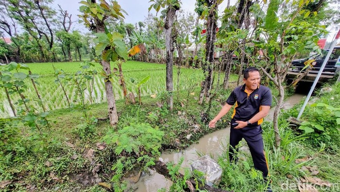 Kapolsek menunjukkan lokasi kecelakaan remaja Ponorogo jatuh ke saluran irigasi.