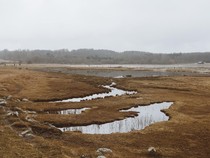 Apa Itu Kemarau Basah? Ini Pengertian, Penyebab, dan Dampaknya