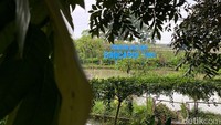 Seperti Beben warga Derwati, Gedebage minta kolam retensi di kawasan Gedebage ditambah agar air hujan bisa tertampung dan tidak langsung masuk ke permukiman.