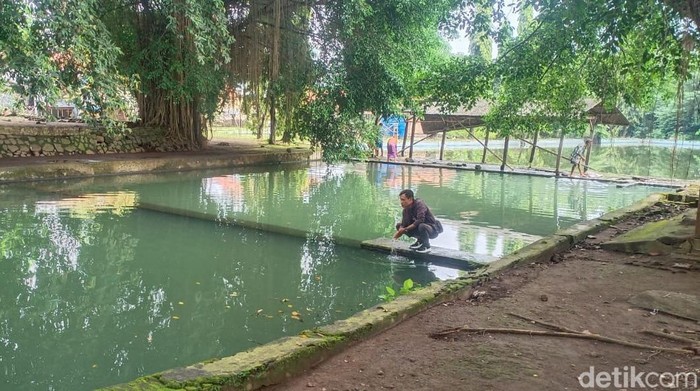 Kolam sang raja di Majalengka