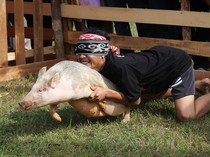 Gelak Tawa Lomba Tangkap Babi dengan Mata Tertutup di Pontianak