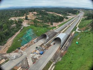 Proyek Jembatan Satwa di Tol IKN, Fasilitasi Perlintasan Satwa Liar
