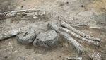 Potret 12 Makam Berusia 4.000 Tahun Ditemukan di Jerman